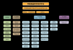 <strong>中国食物科学手艺学会年报（2025年）</strong> 
